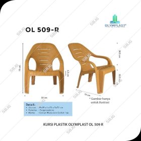 OL 509 R