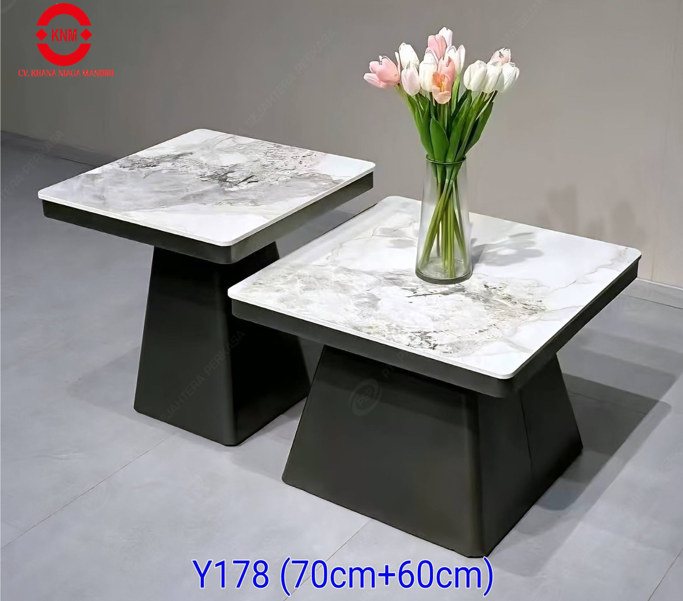 Meja Tamu/Meja Sofa - Y178