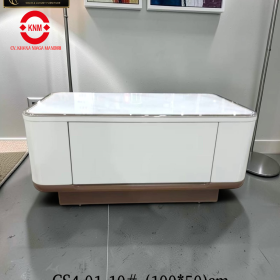 COFFEE TABLE - CS4.01-10#
